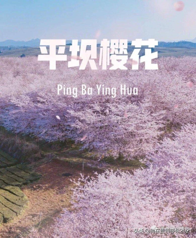 每个人的记忆深处，都有那么一道“乡味”你家乡的是什么？